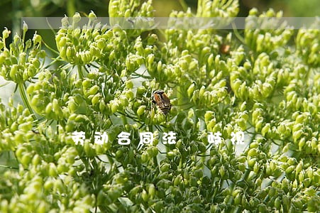 劳动合同法 歧视 劳动合同法 歧视